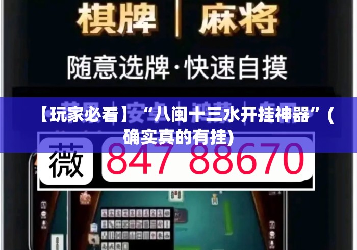 【玩家必看】“八闽十三水开挂神器”(确实真的有挂)