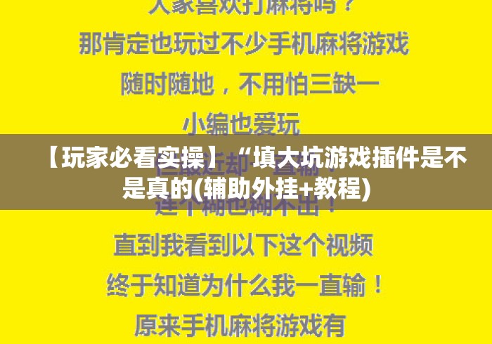 【玩家必看实操】“填大坑游戏插件是不是真的(辅助外挂+教程)
